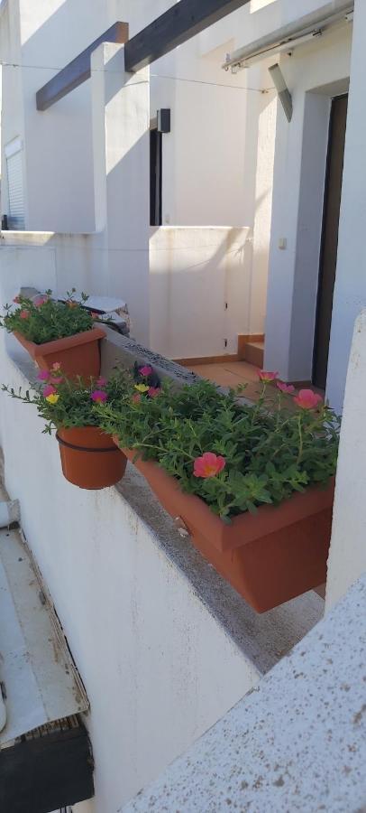 Condado De Alhama, Naranjos 8 Apartment Alhama de Murcia Exterior photo